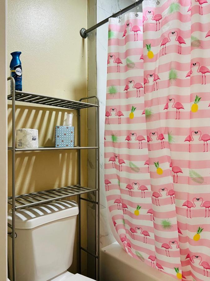Apartment Near Tpa Airport 탬파 외부 사진